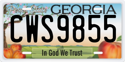 GA license plate CWS9855