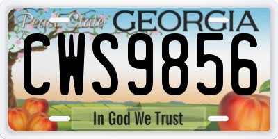 GA license plate CWS9856