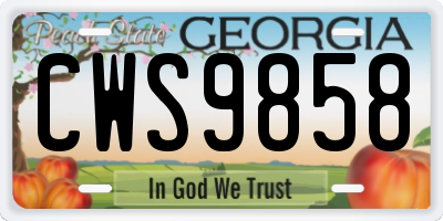 GA license plate CWS9858