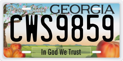 GA license plate CWS9859