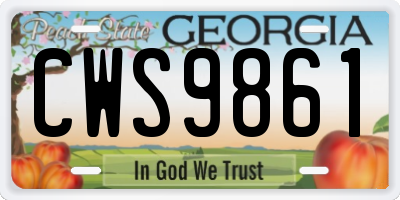 GA license plate CWS9861