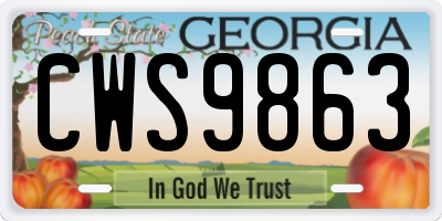 GA license plate CWS9863