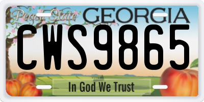 GA license plate CWS9865