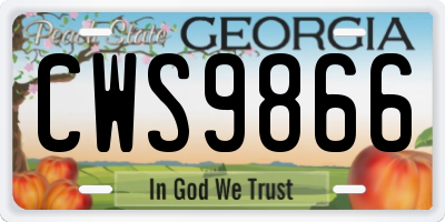 GA license plate CWS9866