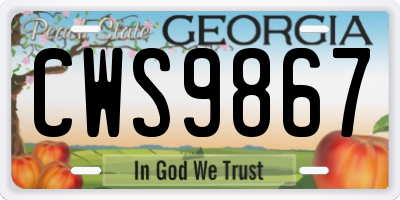 GA license plate CWS9867
