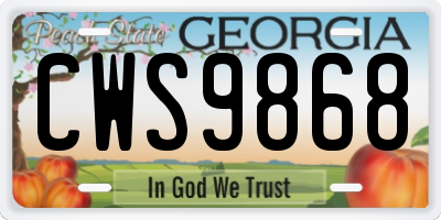 GA license plate CWS9868