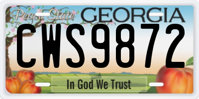 GA license plate CWS9872