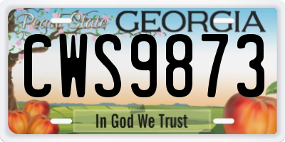 GA license plate CWS9873