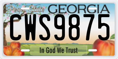 GA license plate CWS9875