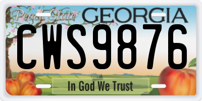 GA license plate CWS9876