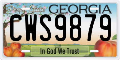 GA license plate CWS9879