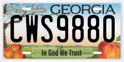 GA license plate CWS9880