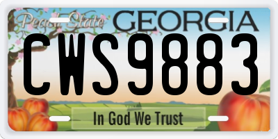 GA license plate CWS9883