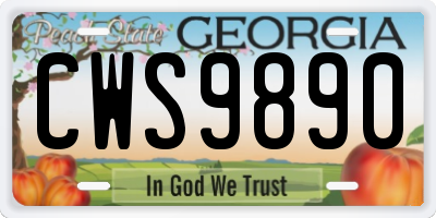 GA license plate CWS9890