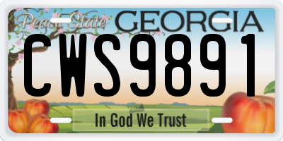 GA license plate CWS9891