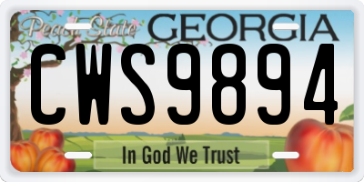 GA license plate CWS9894