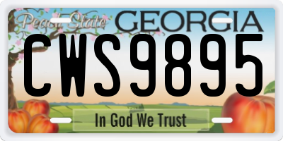 GA license plate CWS9895