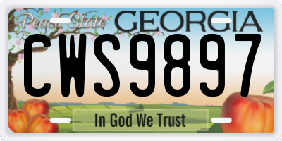 GA license plate CWS9897