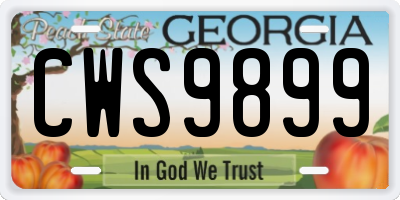 GA license plate CWS9899