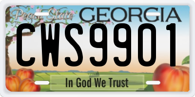 GA license plate CWS9901