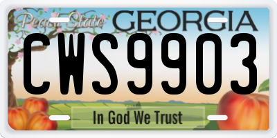 GA license plate CWS9903