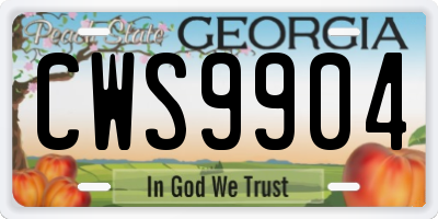 GA license plate CWS9904