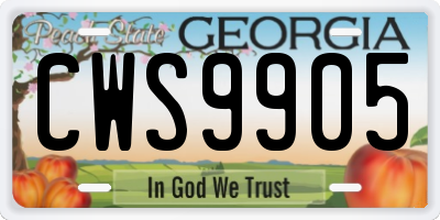 GA license plate CWS9905