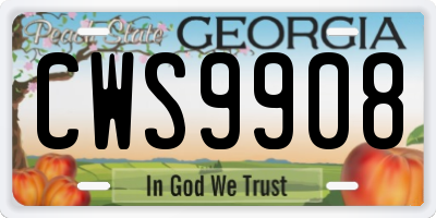 GA license plate CWS9908