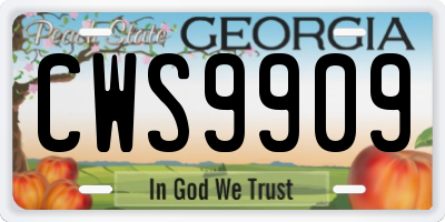 GA license plate CWS9909