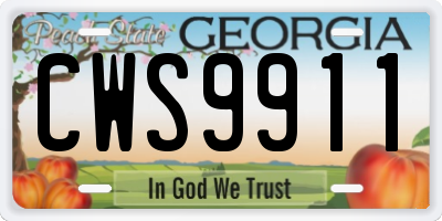 GA license plate CWS9911