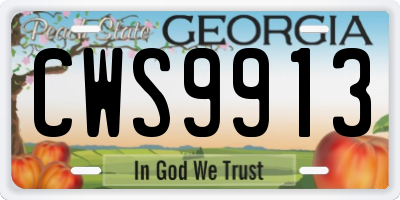 GA license plate CWS9913