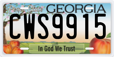 GA license plate CWS9915