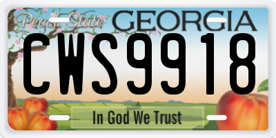 GA license plate CWS9918