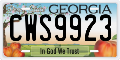 GA license plate CWS9923