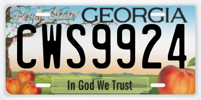 GA license plate CWS9924