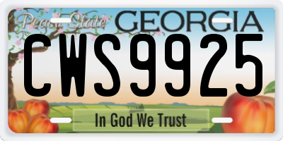 GA license plate CWS9925