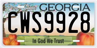 GA license plate CWS9928