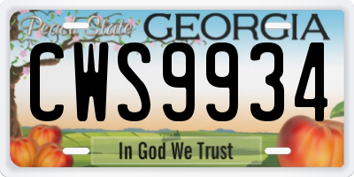 GA license plate CWS9934