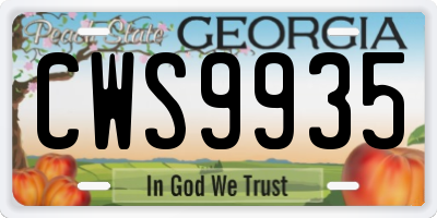 GA license plate CWS9935