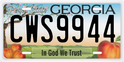 GA license plate CWS9944