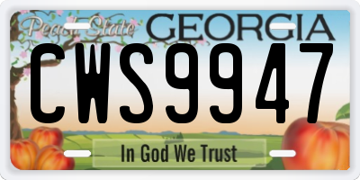 GA license plate CWS9947