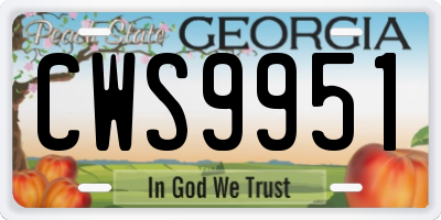 GA license plate CWS9951