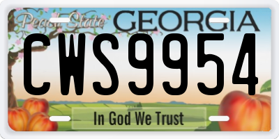 GA license plate CWS9954