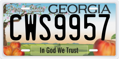GA license plate CWS9957