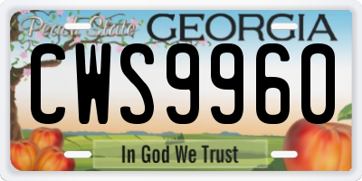 GA license plate CWS9960