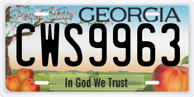 GA license plate CWS9963