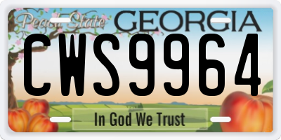 GA license plate CWS9964