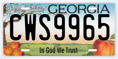 GA license plate CWS9965