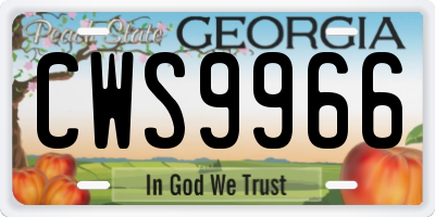 GA license plate CWS9966