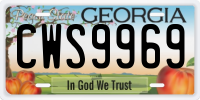 GA license plate CWS9969